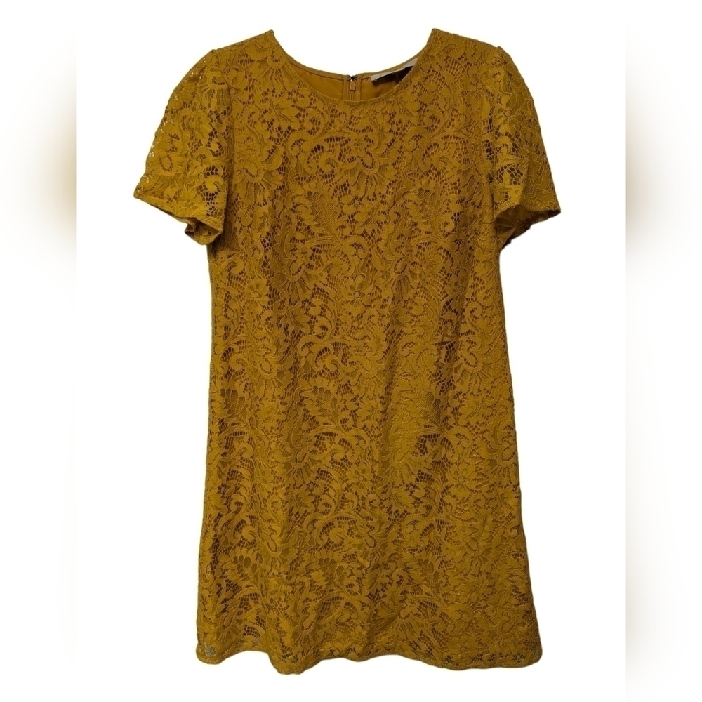 Loft Lace Shift Dress Sz 4